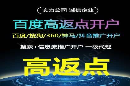 Sem优化公司案例：精准广告投放策略解析